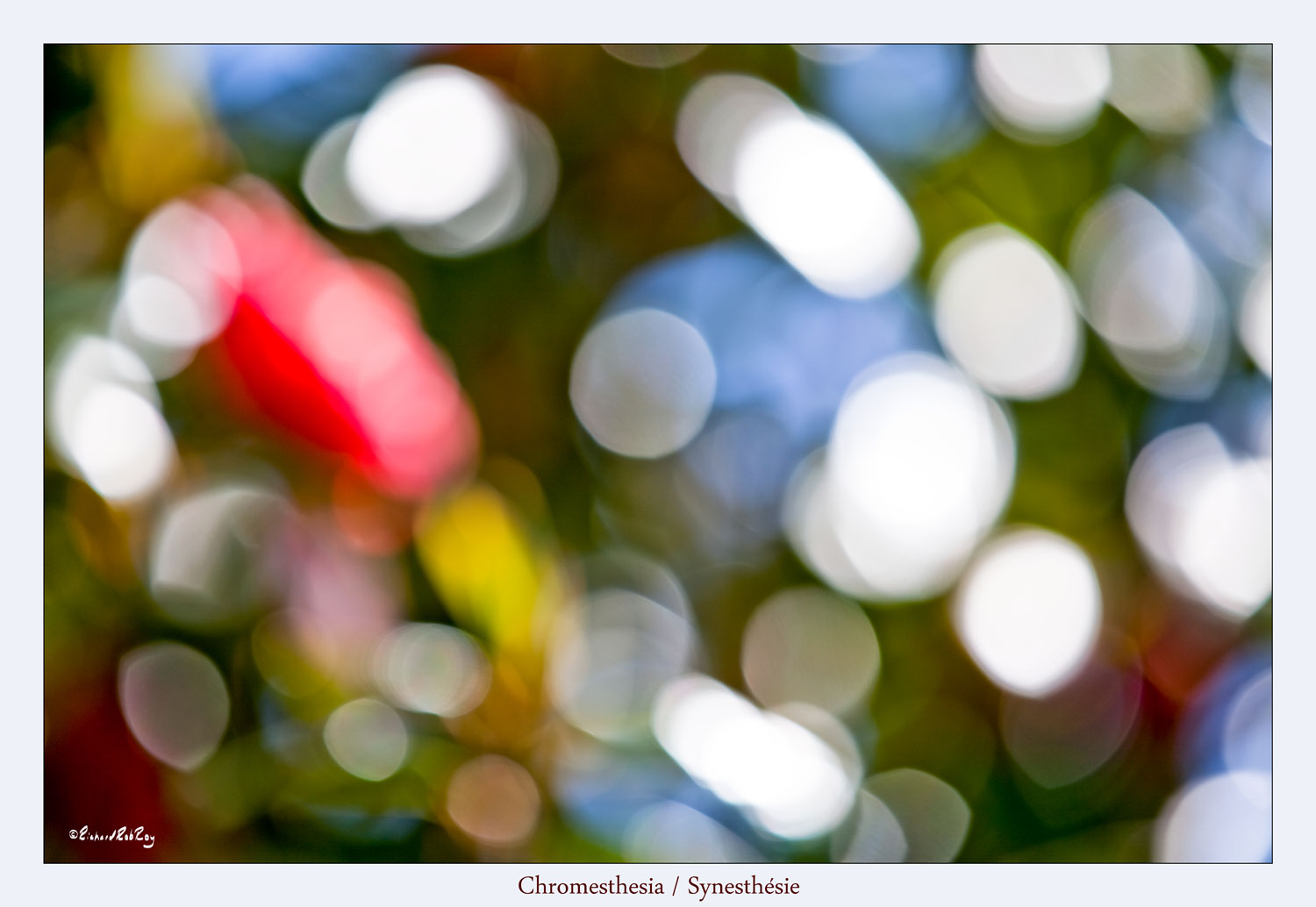 360Chromesthesia72ppiJPGsRGB300ppi_MG_4695zv1abc-1500x1034.jpg