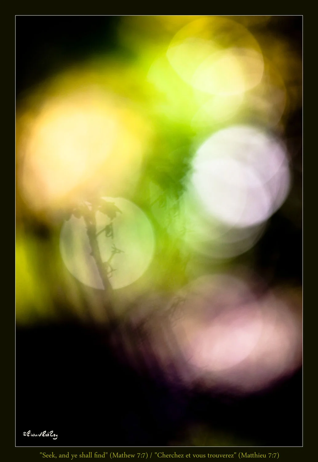 080Seek-wmattitle72ppiJPGsRGB_MG_5264zv1a-vert1034x1500.jpg