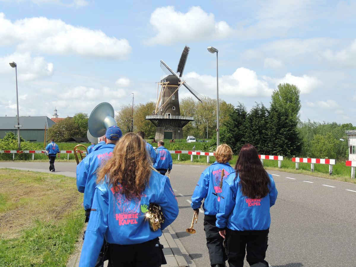 Met de molen in zicht