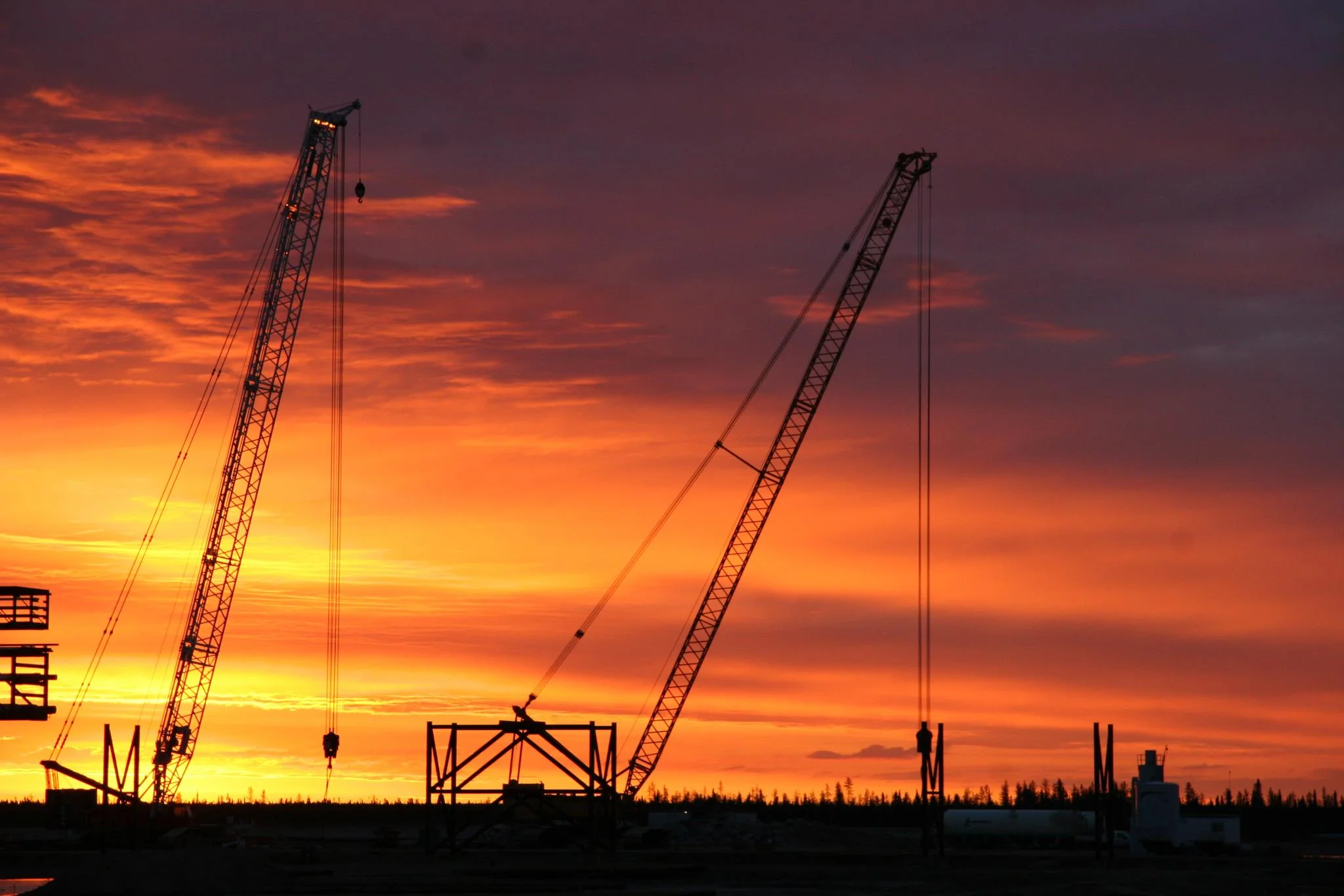 cranes at sunset.jpg