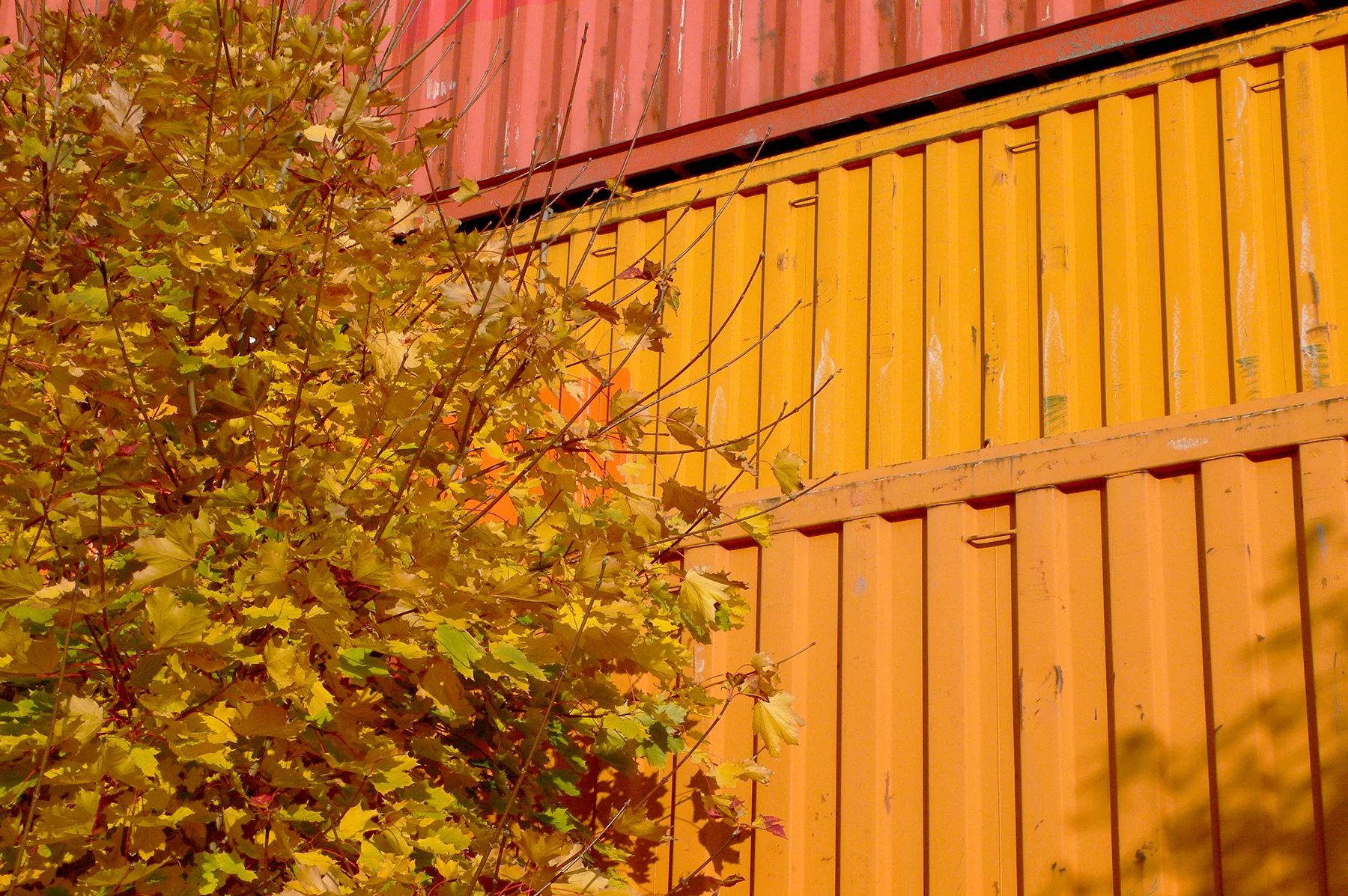 Container 051-07