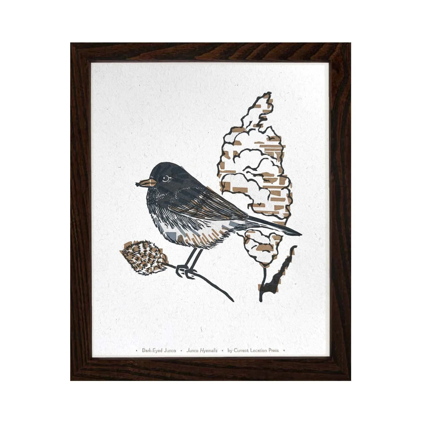 bird-Dark-Eyed Junco darkframe.jpg