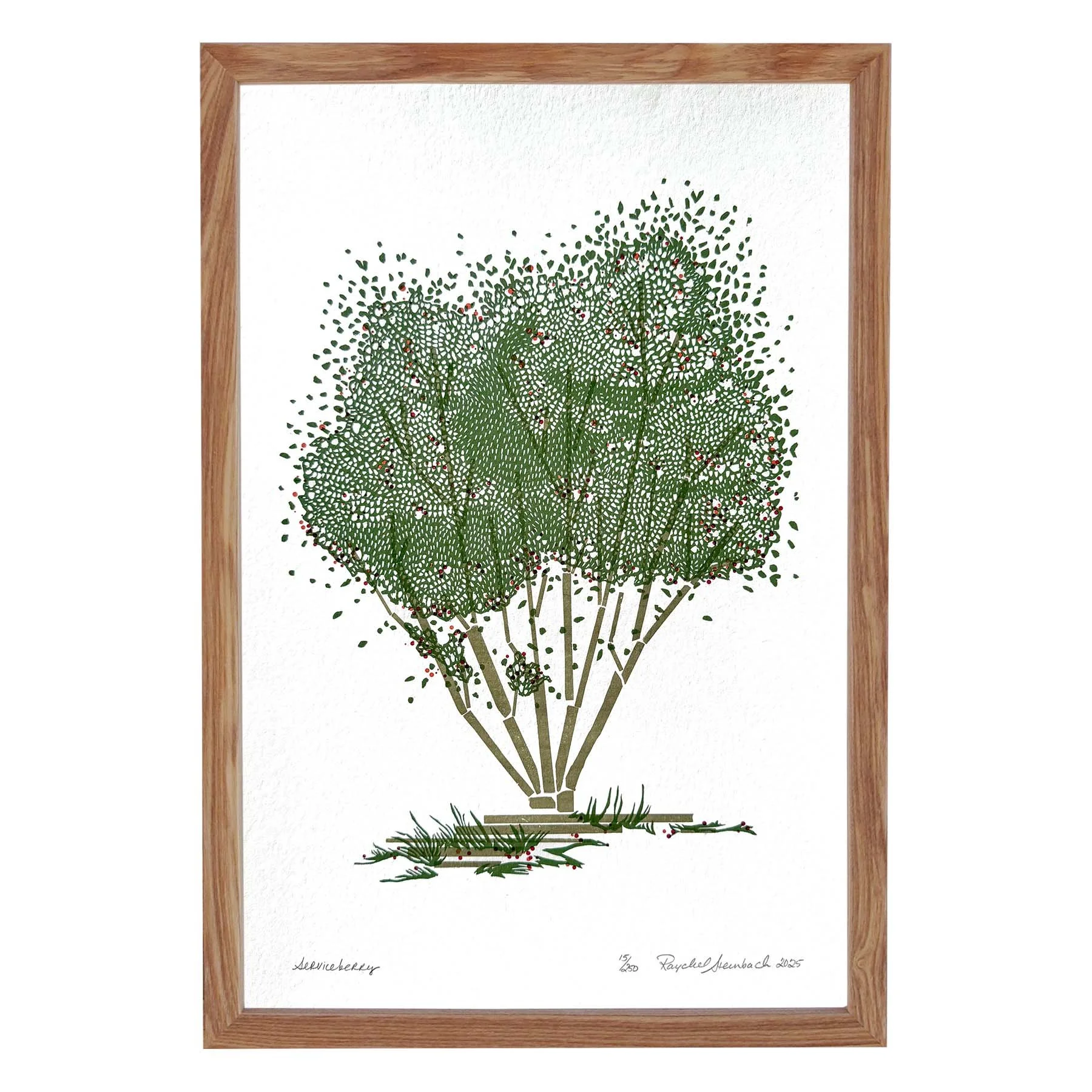 Serviceberrylightframeonwhitesquare.jpg