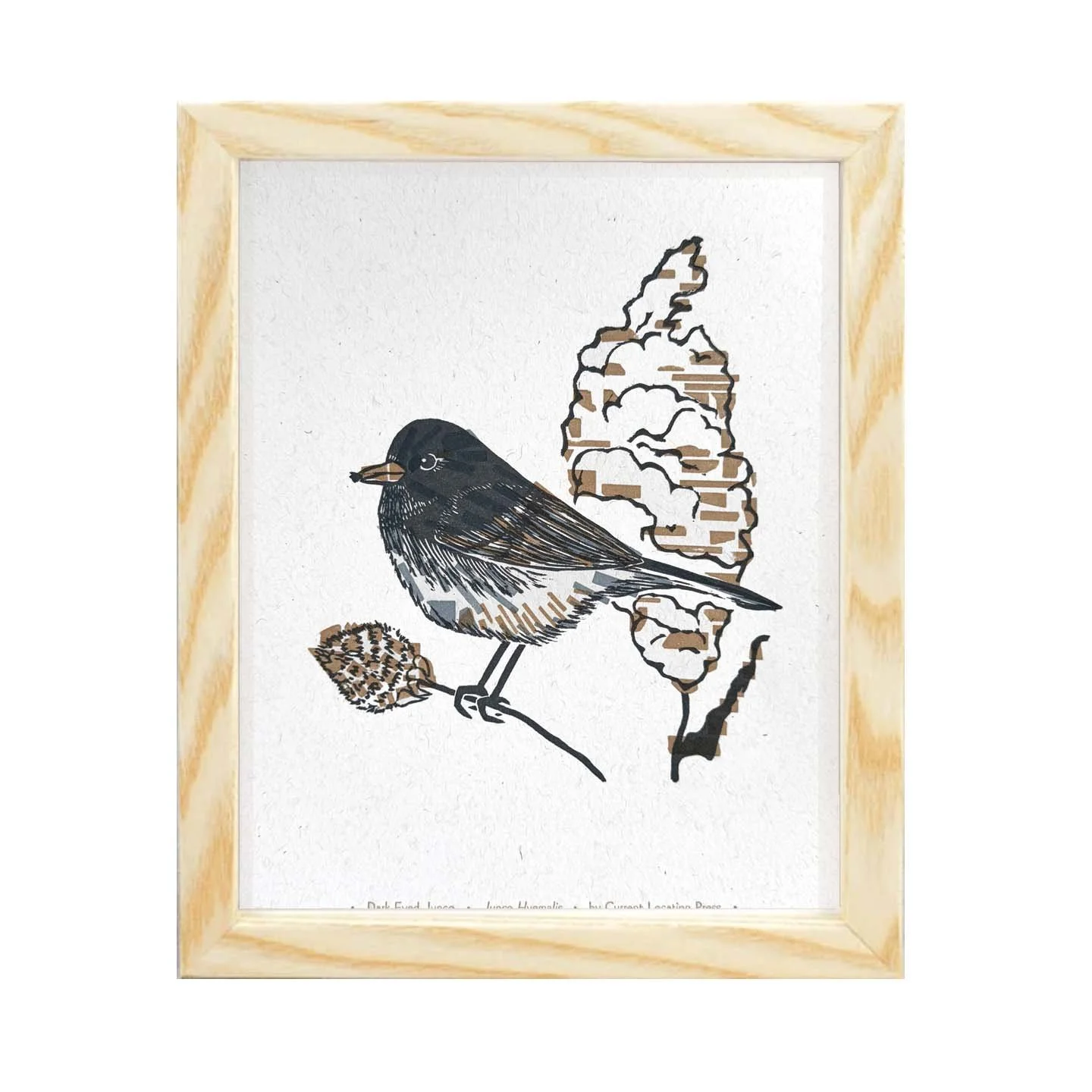 Bird-Dark-Eyed Junco lightframe.jpg