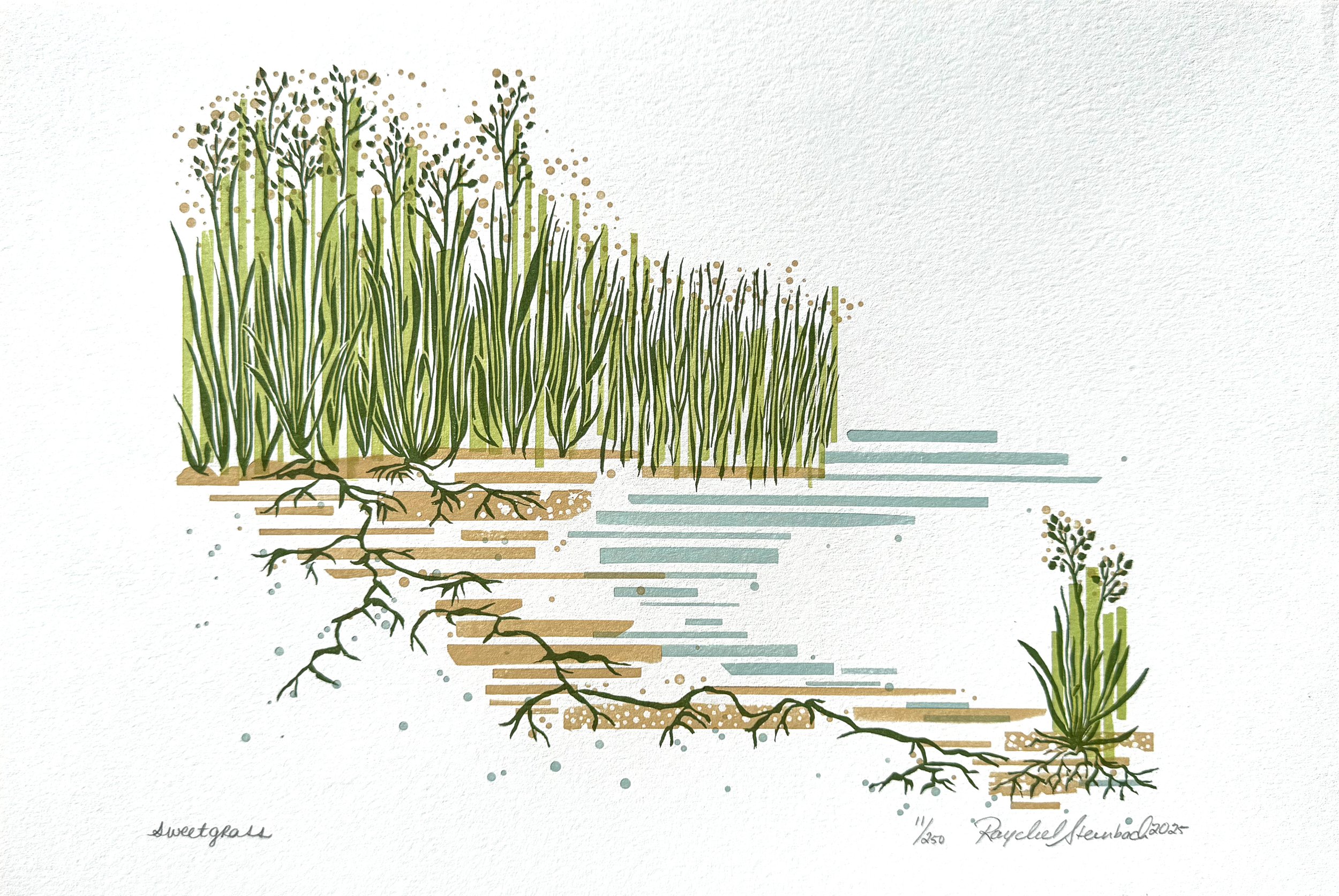 Sweetgrass.jpg