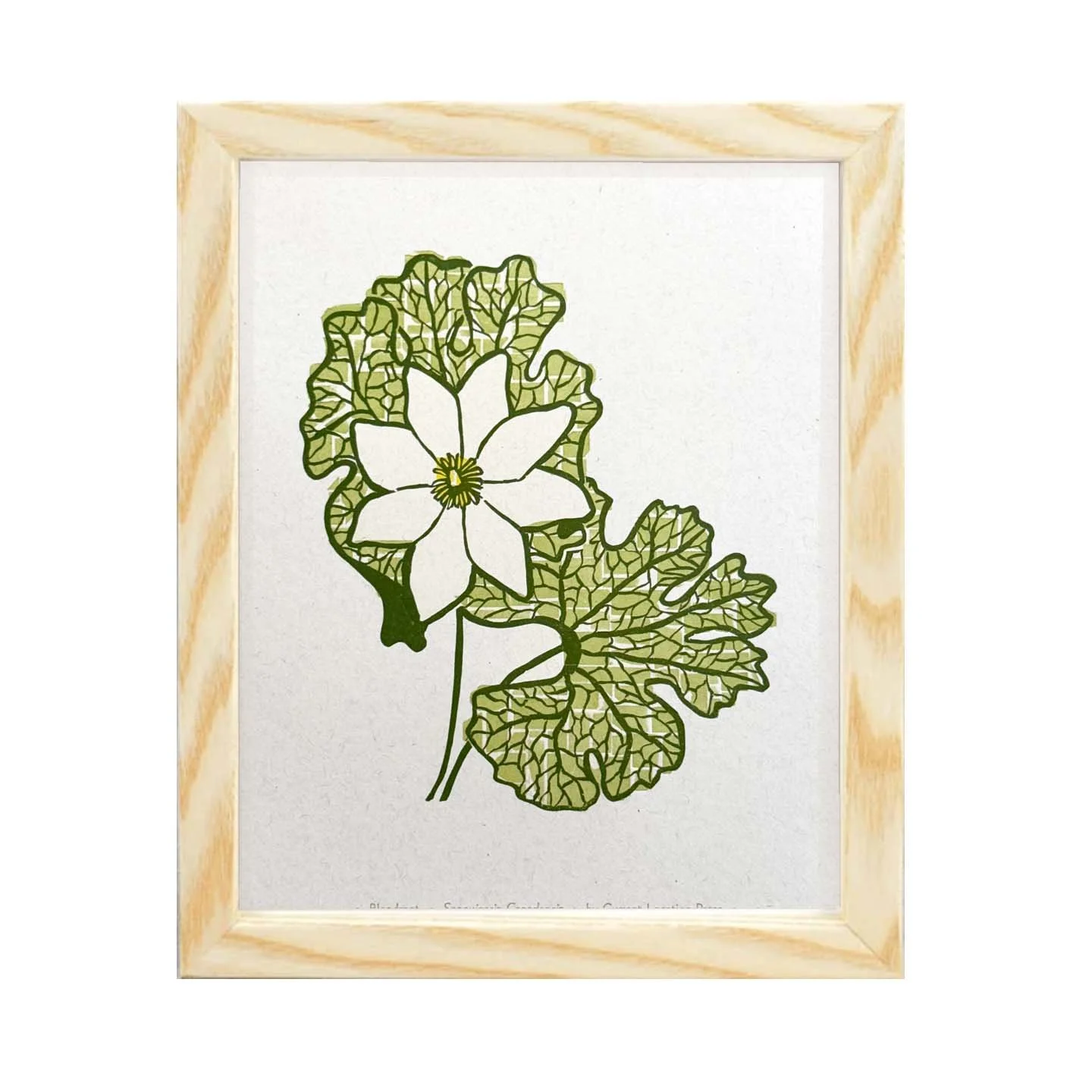 Bloodroot - Fine Art Letterpress Print