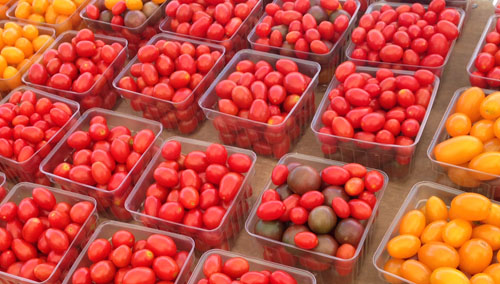 it's too soon for tomatoes, but there's still lots of good stuff to pick from. photo by rich field.