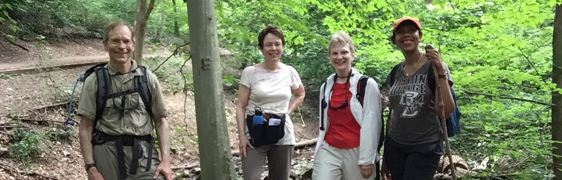 Local Loop - Jun 13, 2015