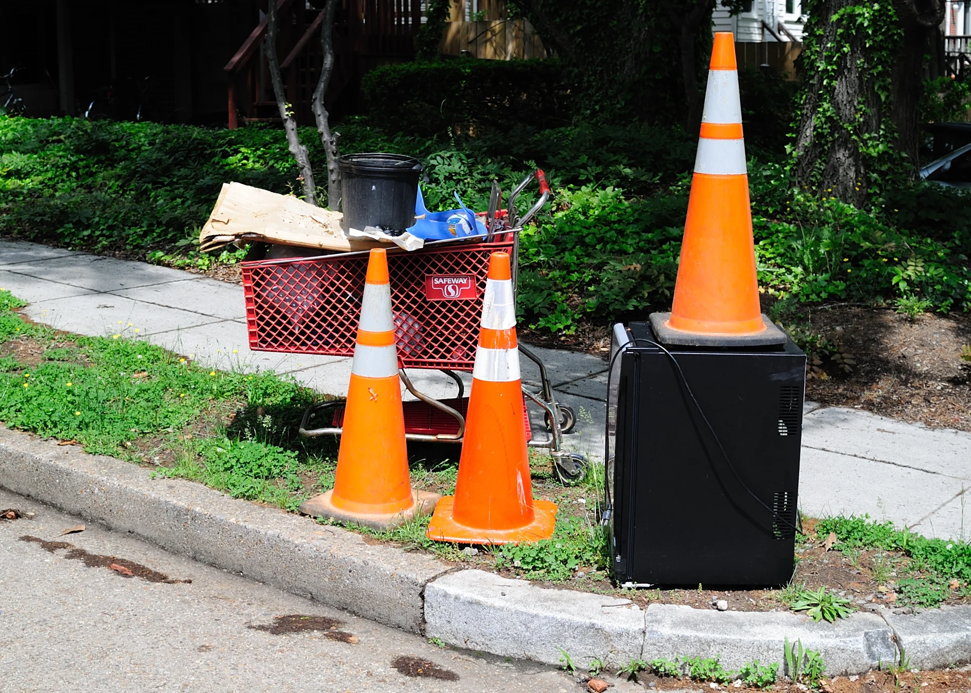 Fall Clean-up: Nov. 7