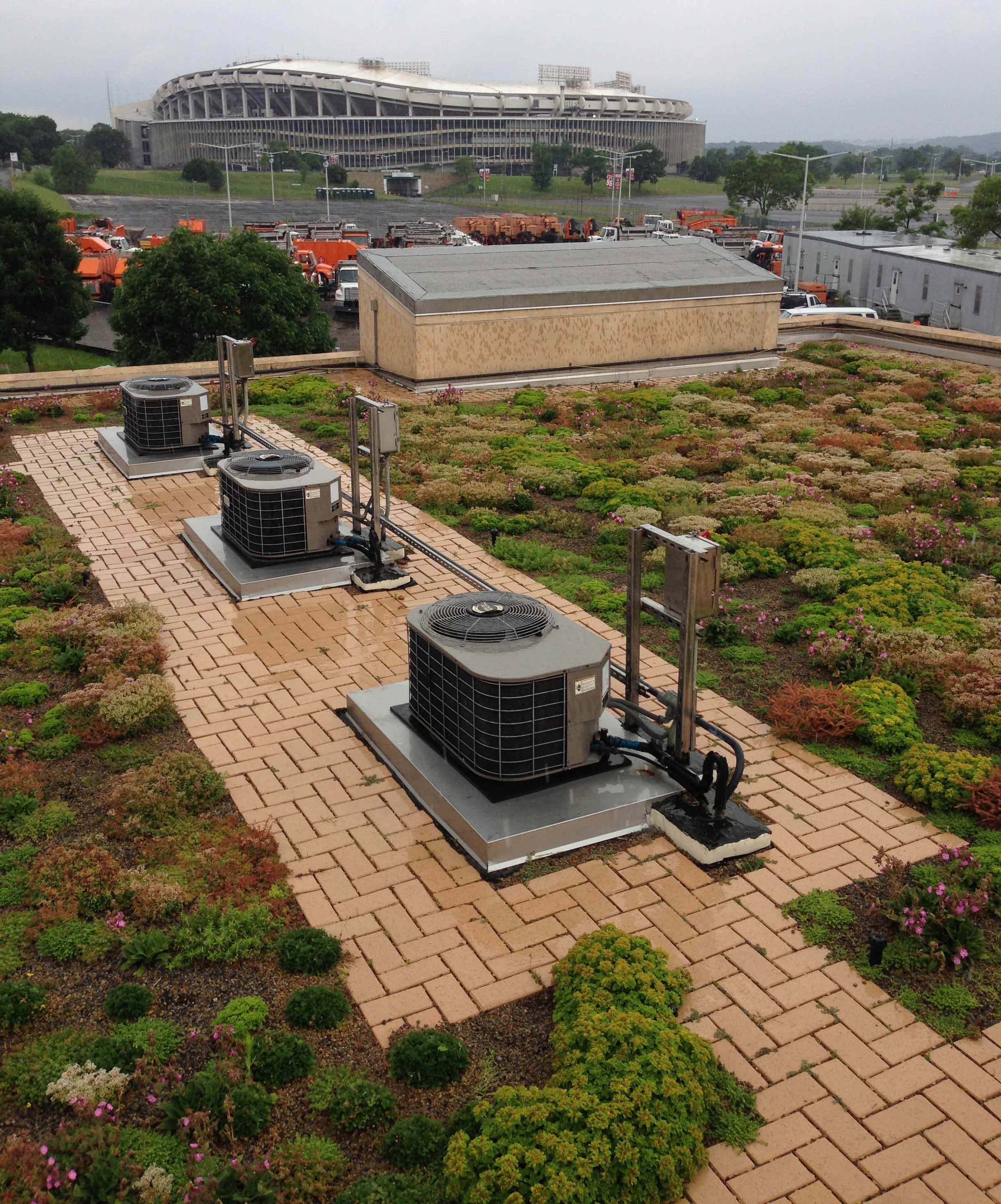 green roof at East Side Pumping Station.