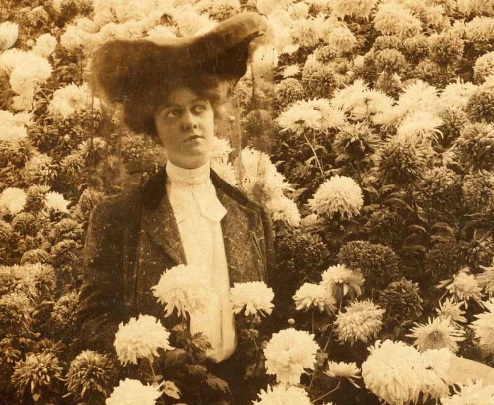 Normal
0




false
false
false

EN-US
X-NONE
X-NONE

 
 
 
 
 
 
 
 
 


 
 
 
 
 
 
 
 
 
 
 


 <w:LatentStyles DefLockedState="false" DefUnhideWhenUsed="false"
DefSemiHidden="false" DefQFormat="false" DefPriority="99"
LatentStyleCount="…