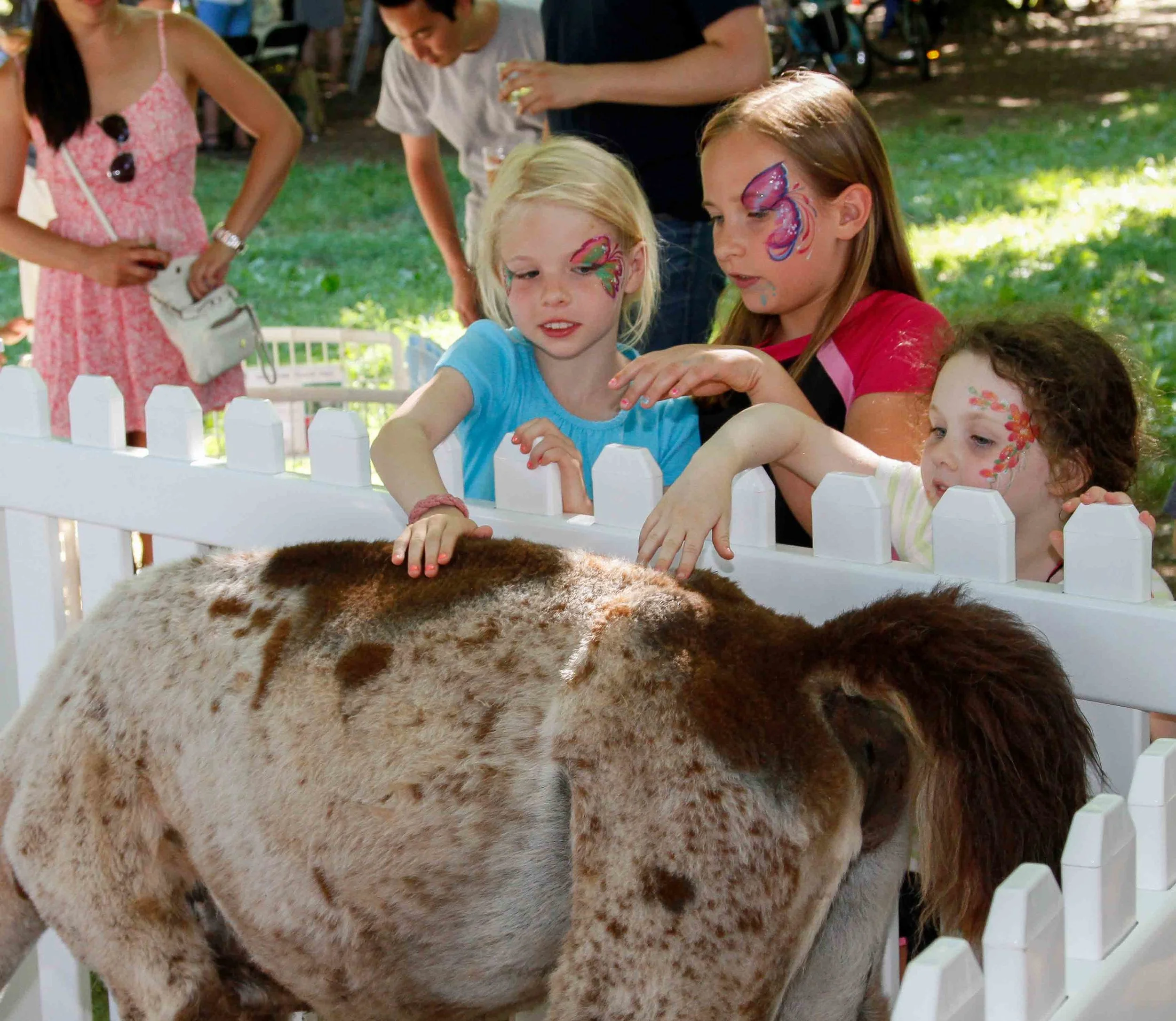 2016-Picnic-PettingZoo_5525-small.jpg