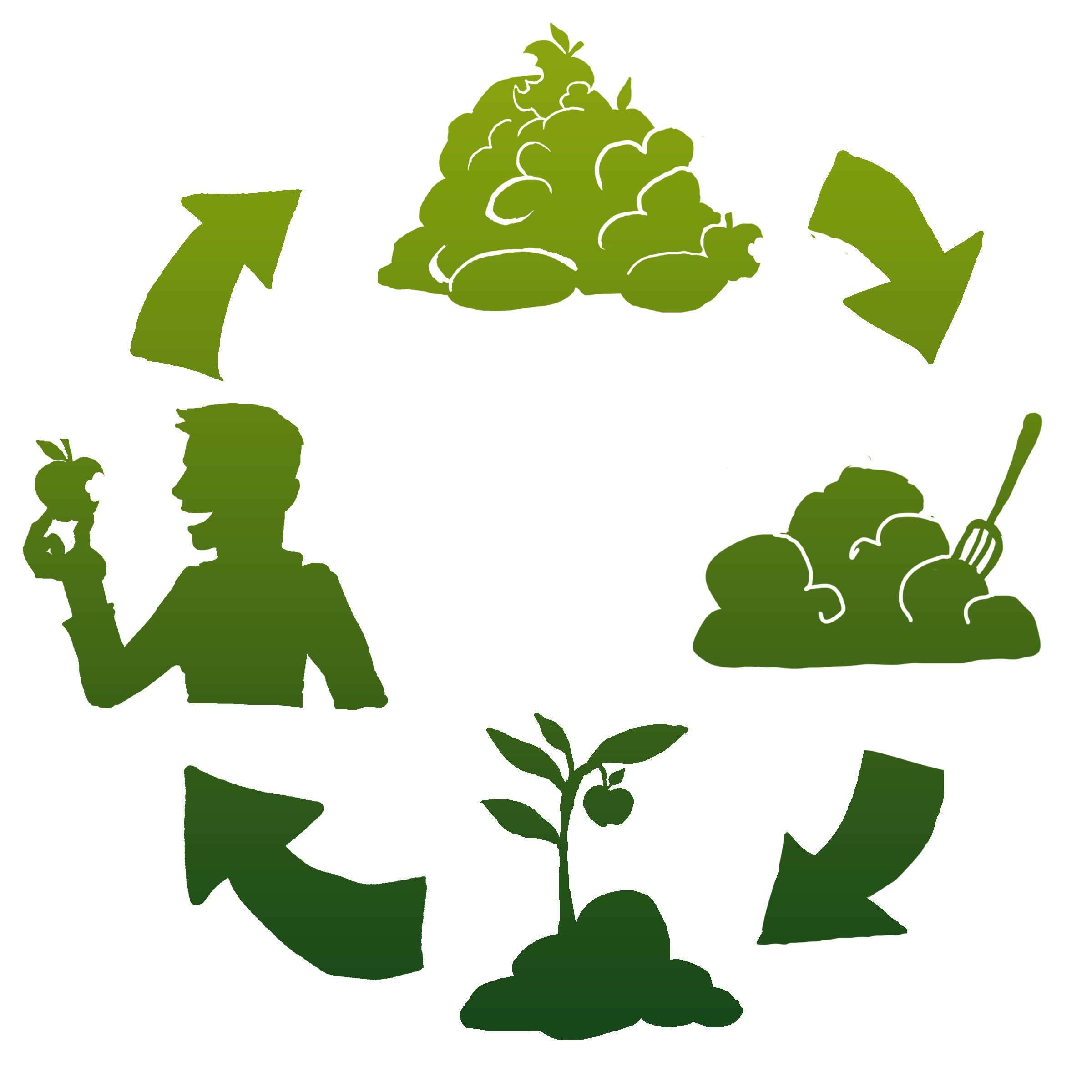 Collect, Compost + Cultivate 