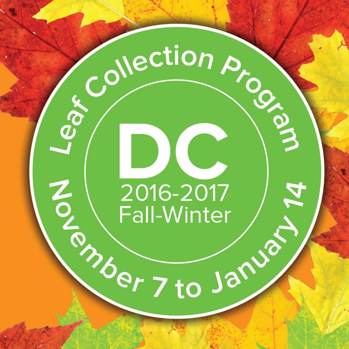 Burleith Leaf Pick-Up