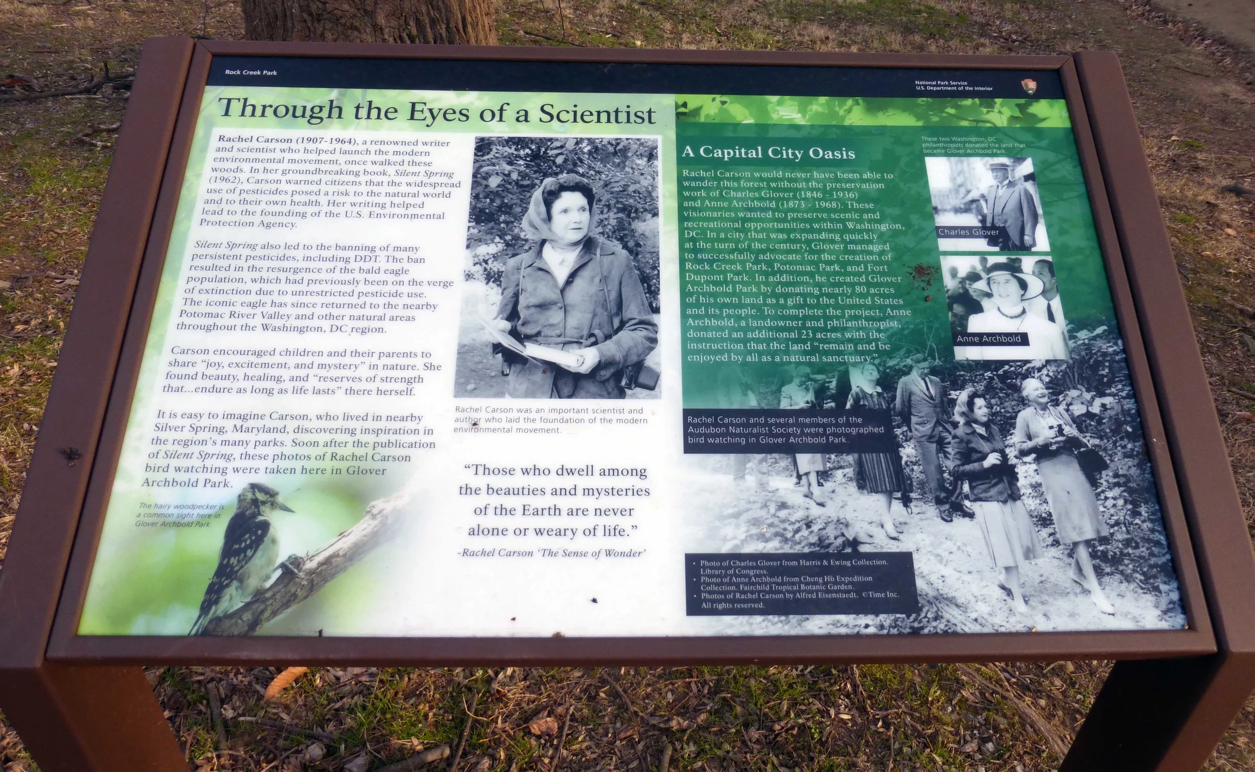 Rachel Carson's groundbreaking 1962 book, Silent Spring , inspired the environmental movement.