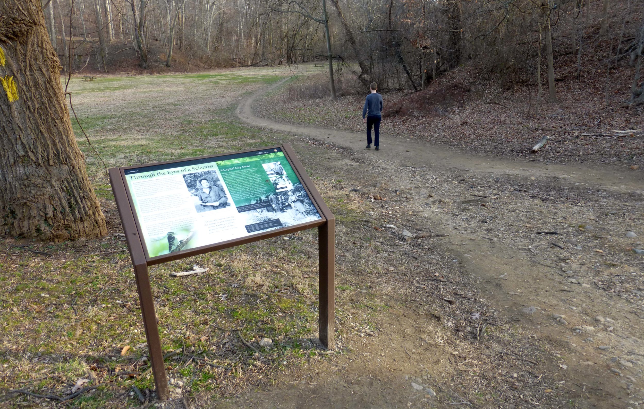 2017.02-Carson-sign.jpg