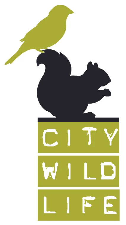 2017.02-city-wildlife-logo.jpg
