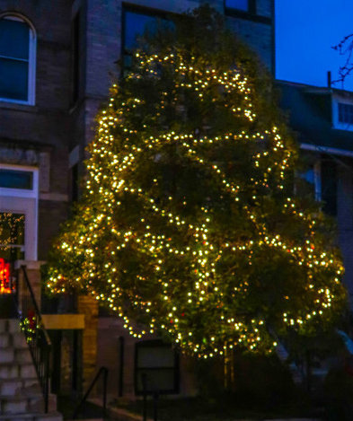 2017.12-Decorations-T#3.jpg
