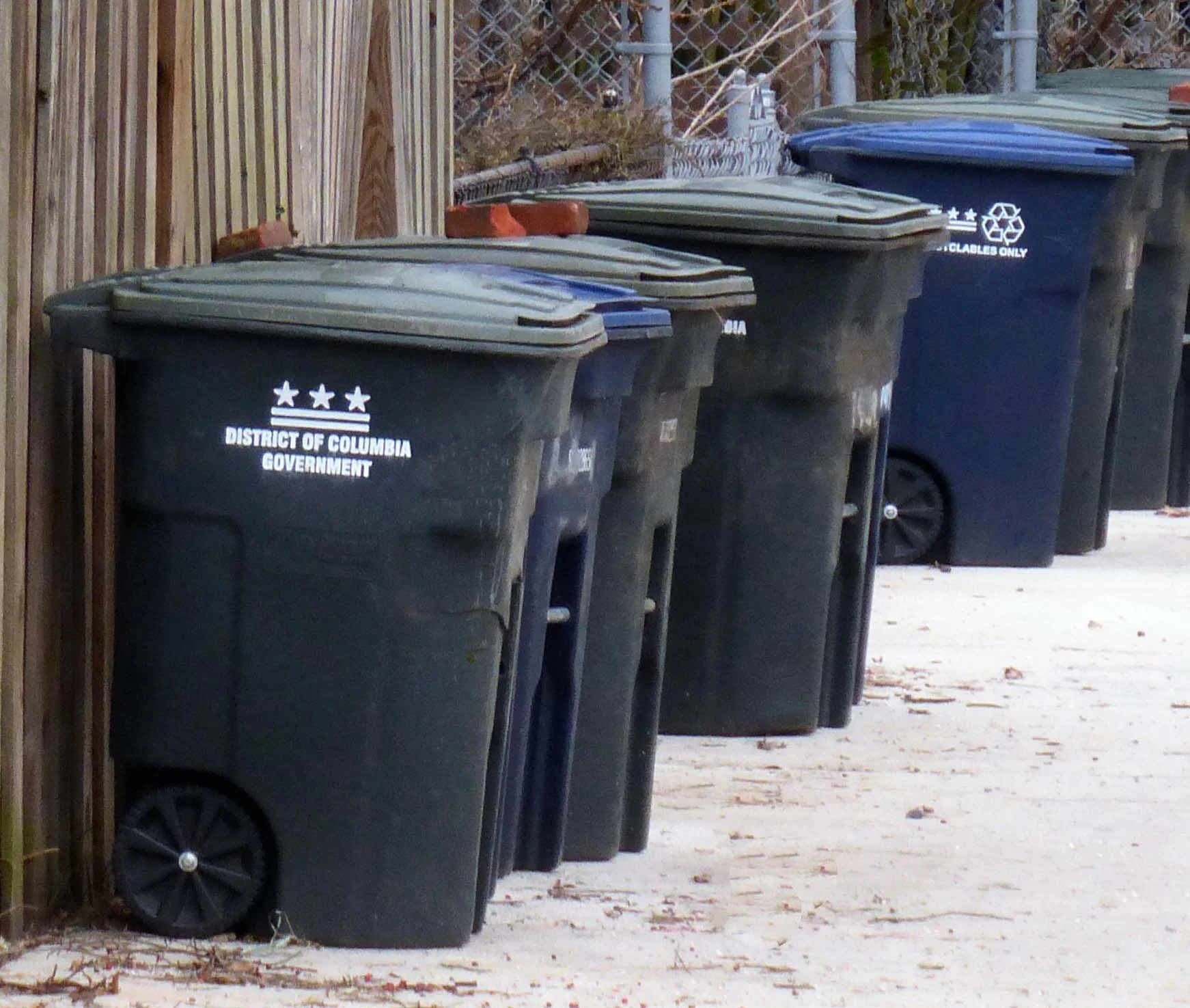 Trash Ticket Reprieve