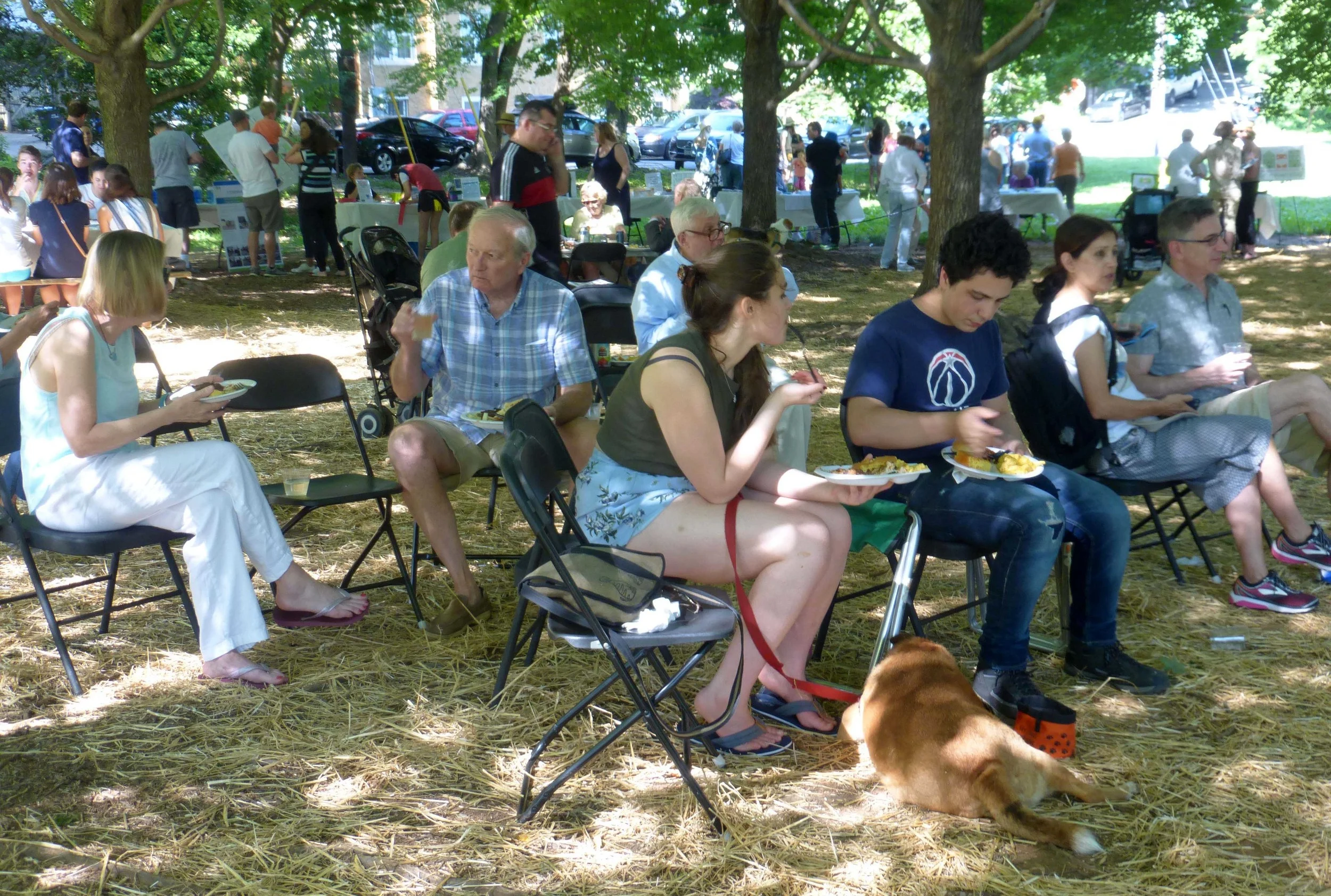 2018-Picnic-crowd-449-SMALL.jpg