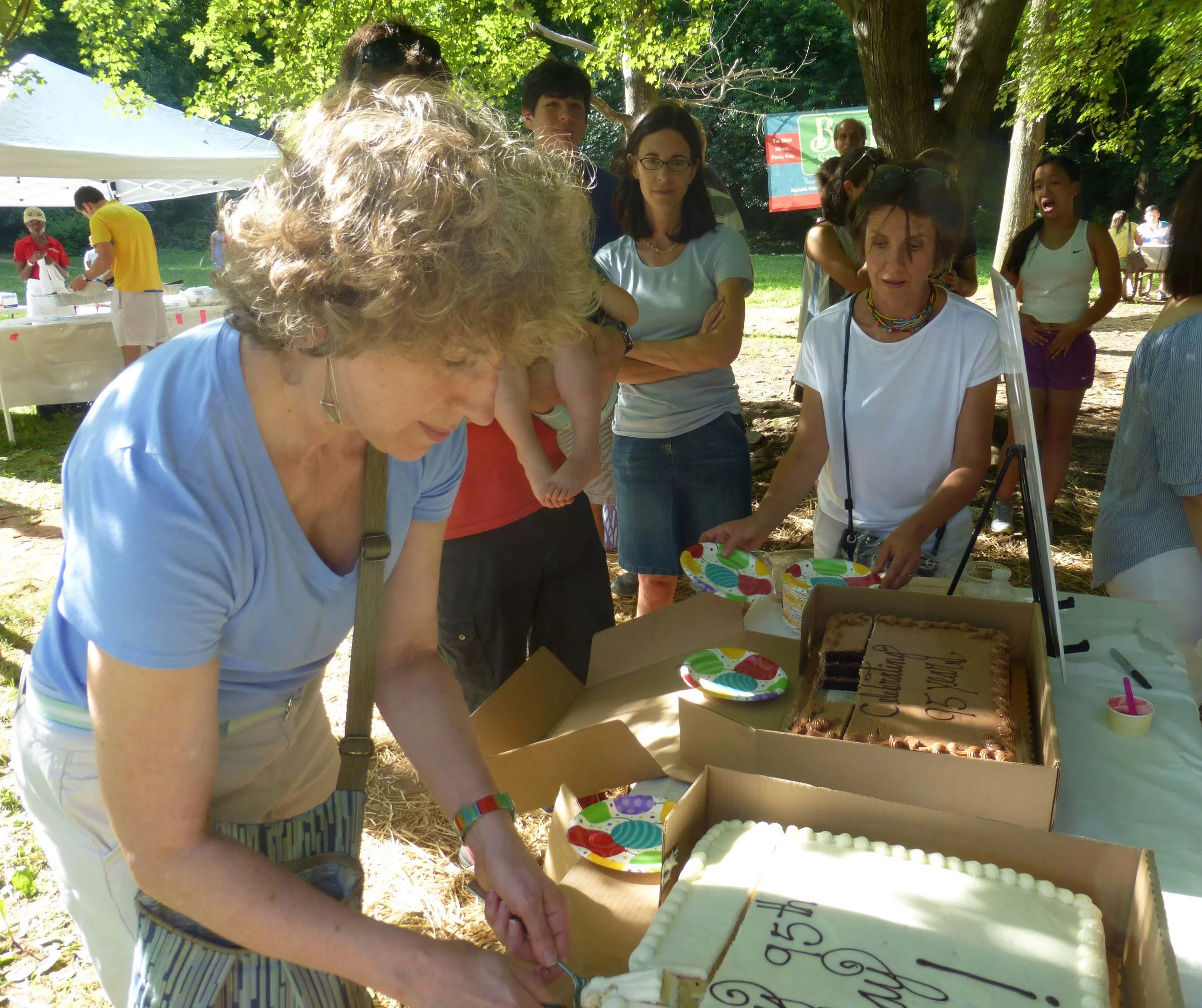 2018-Picnic-Cake-486-SMALL.jpg