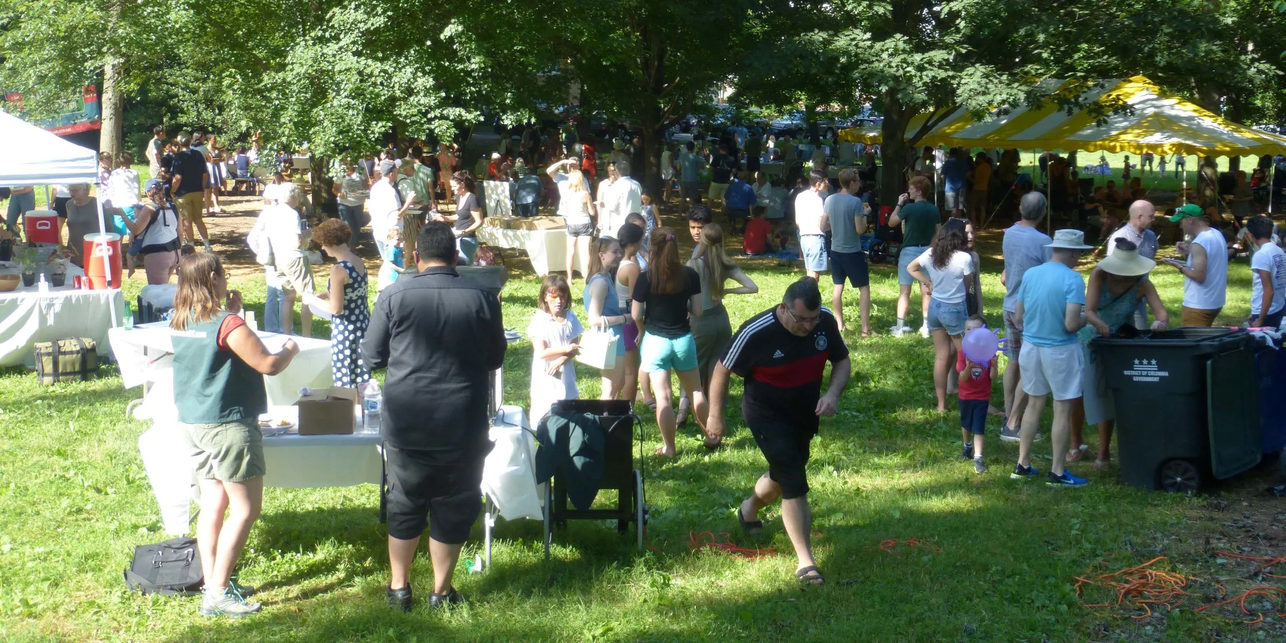 2018-Picnic-crowd-471-SMALL.jpg