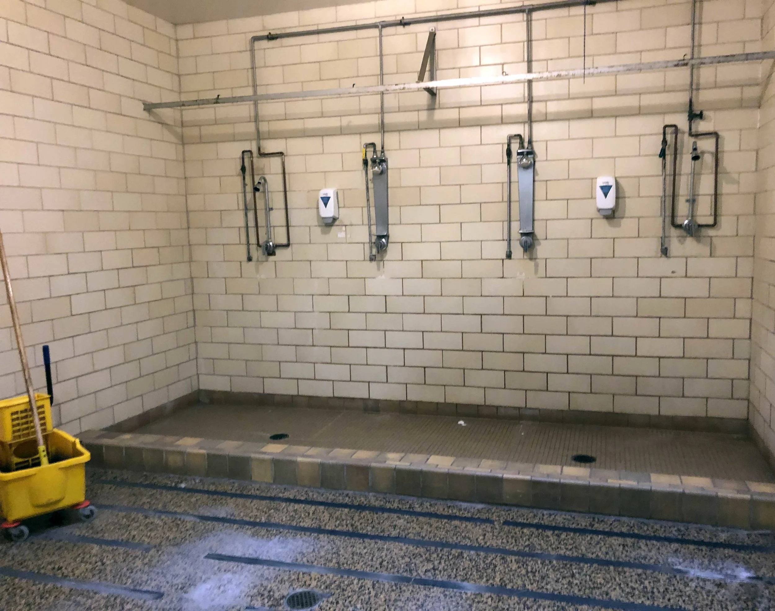 The shower room is just one of the 1950s-era remnants that could use an upgrade.
