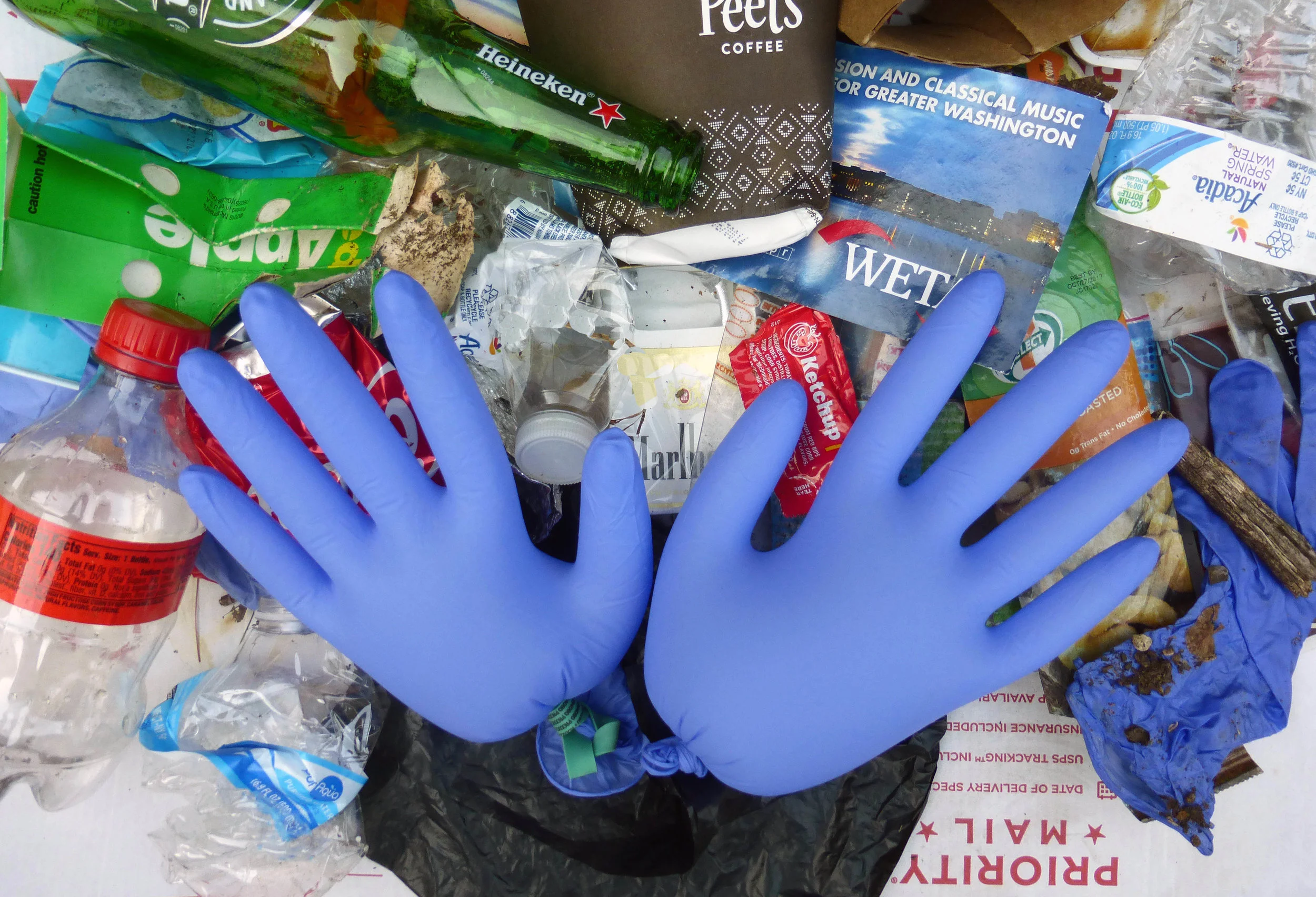 Spring Clean-up: June 8