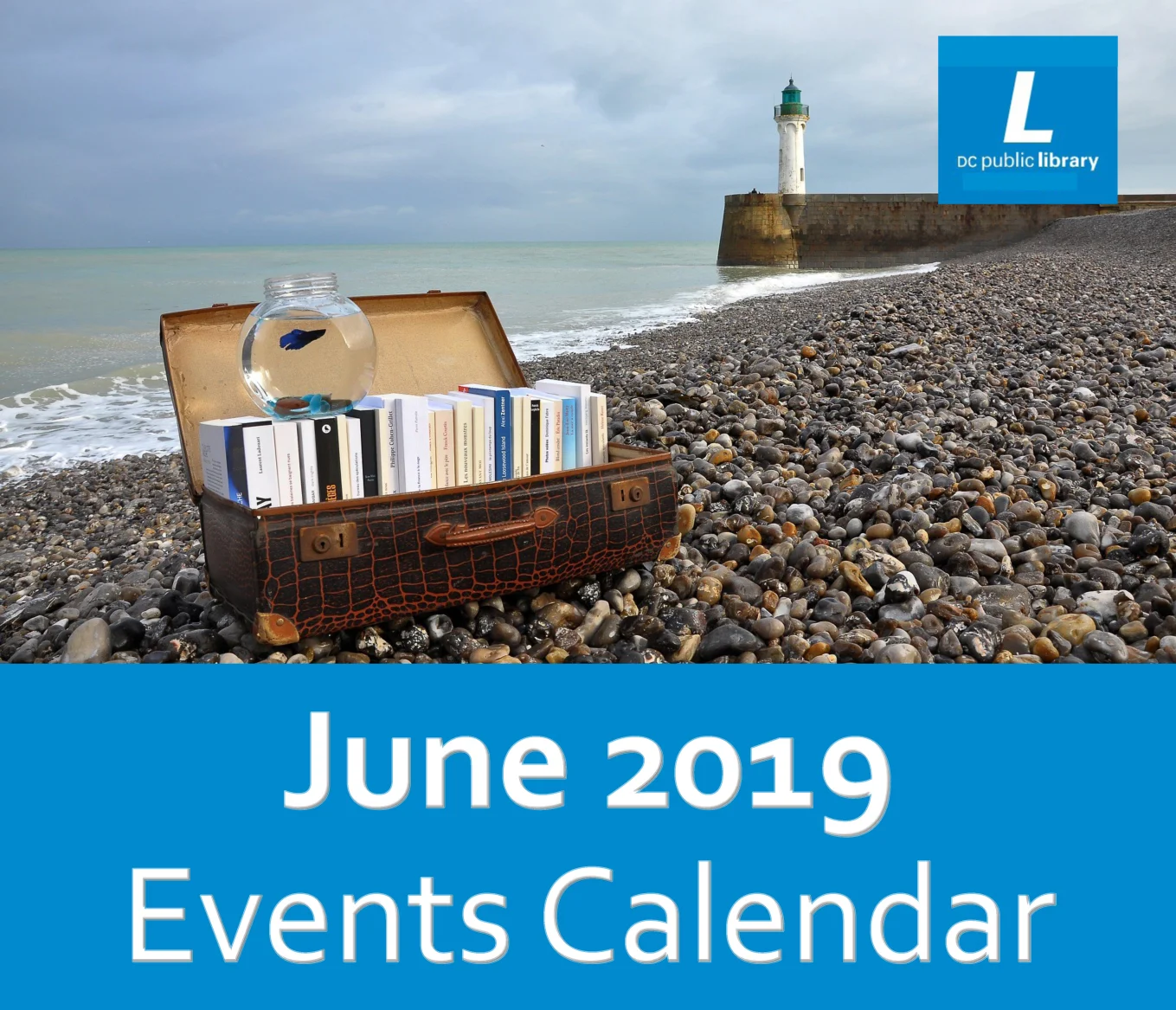 G-town Library: 6/2019