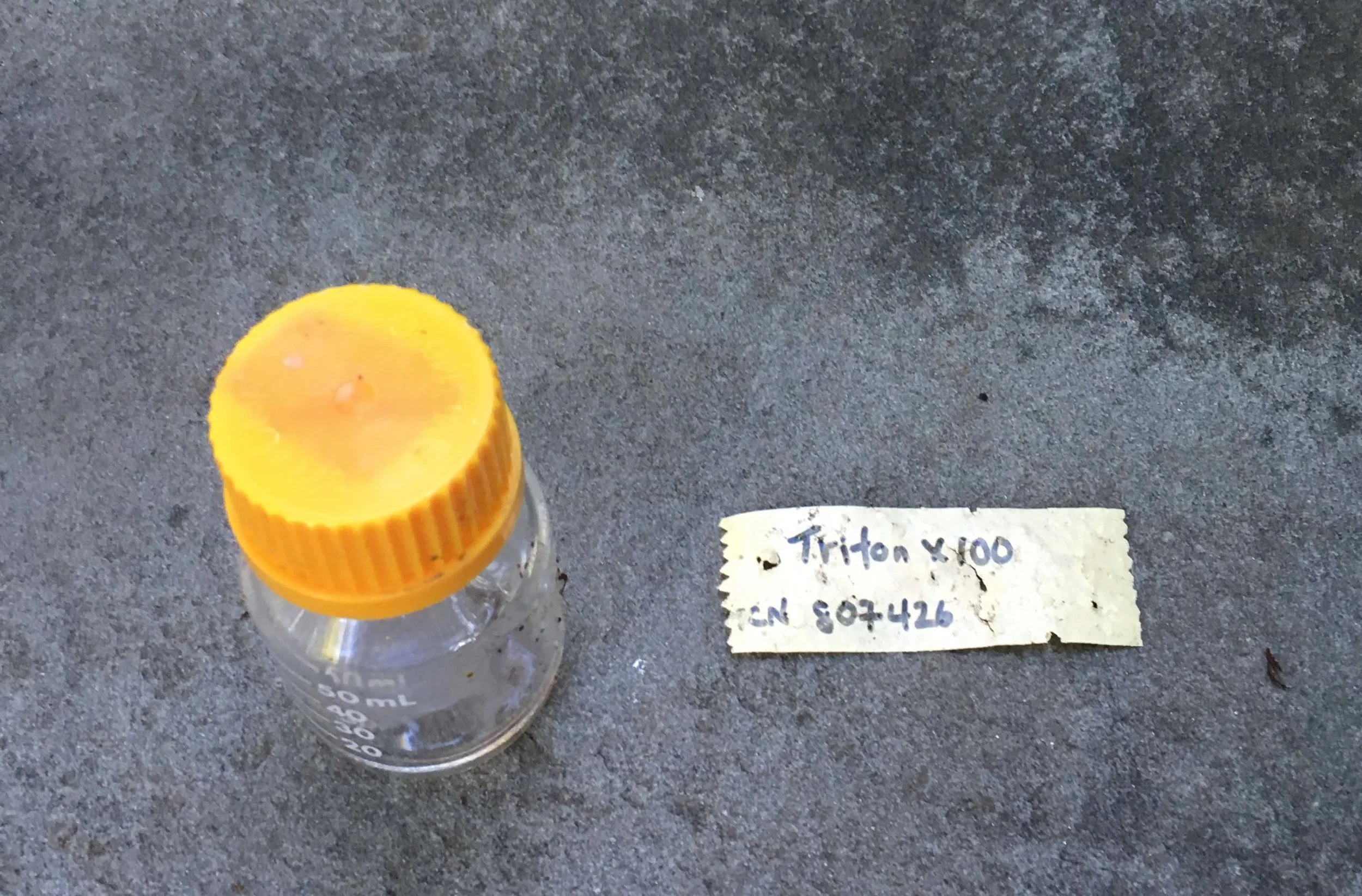 Tracking Trash