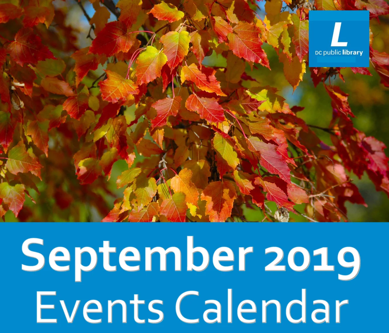 G-town Library: 9/2019