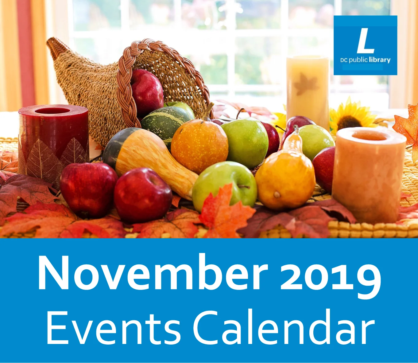 G-town Library: 11/2019