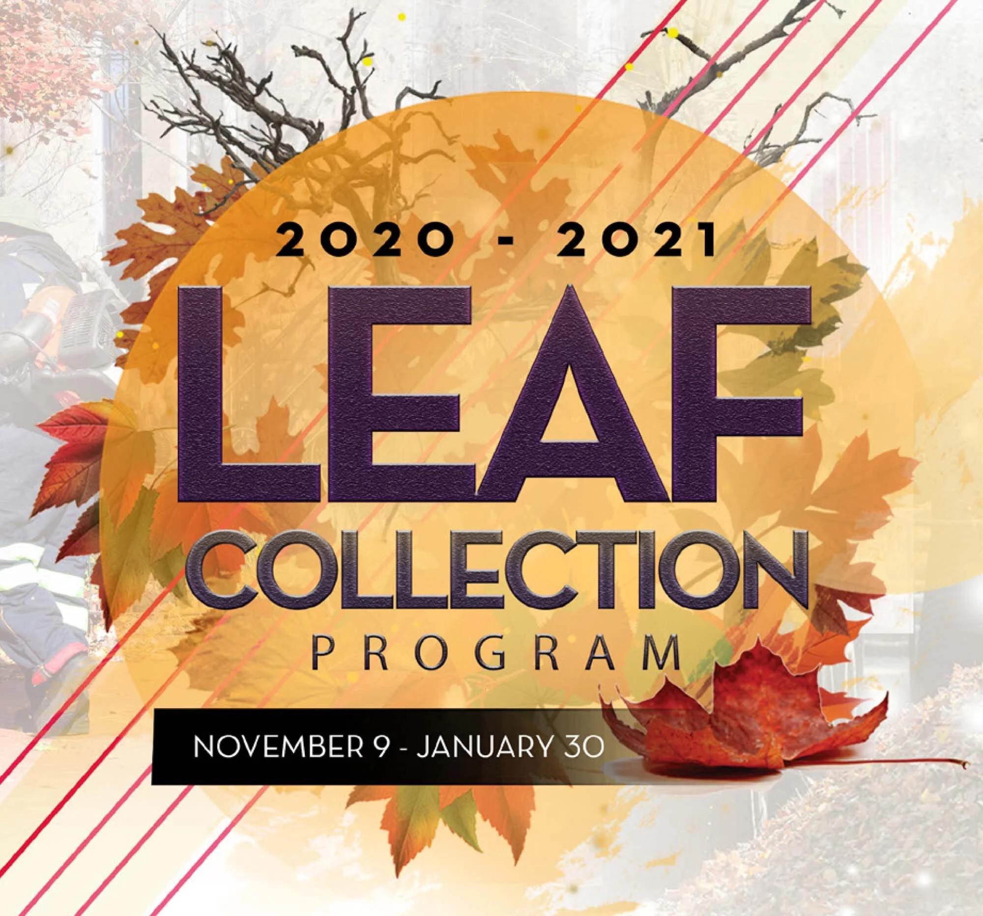 Leaf Collection ’20–21