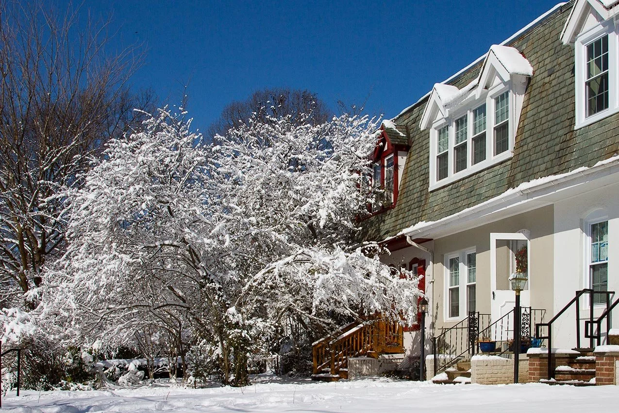 2016-Winter.jpg