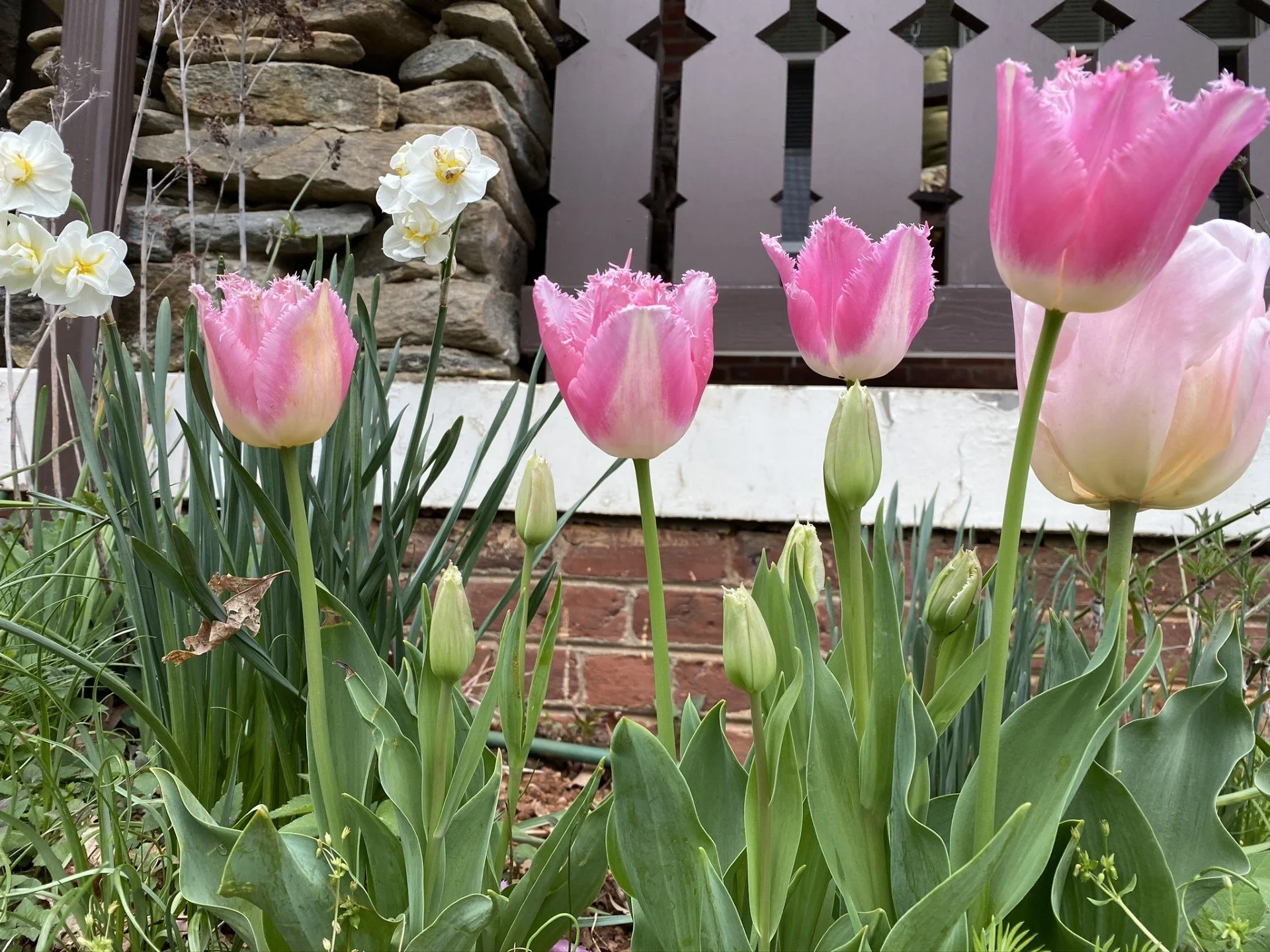 How Does Your Garden Grow?