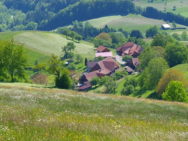 Village view from the meadow. Photo by mbc-2016 .