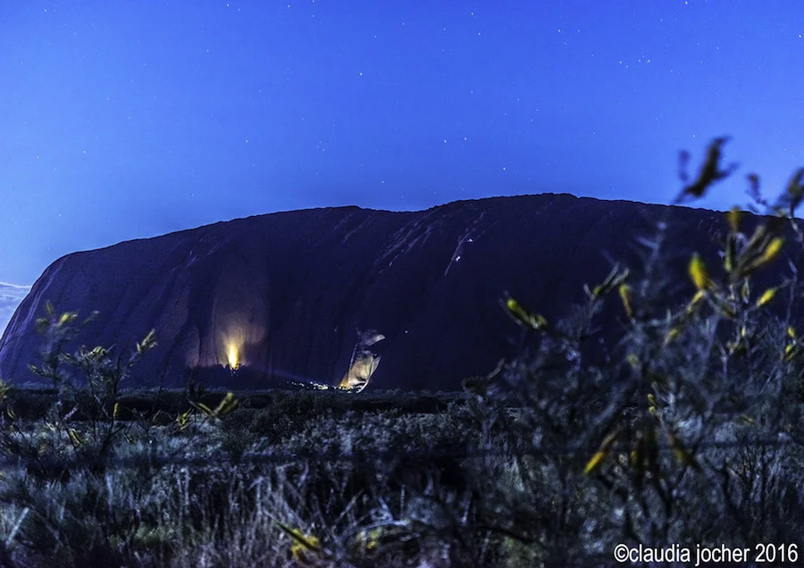 Wrong Turn on Uluru - Part 3 (Final) — Xylem Flow