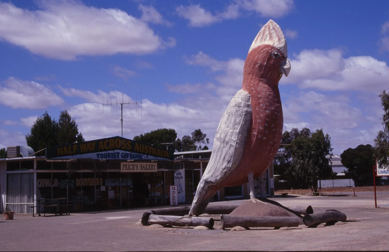 The Big Galah at Kimba, South Australia. Photo by Adam Eales .