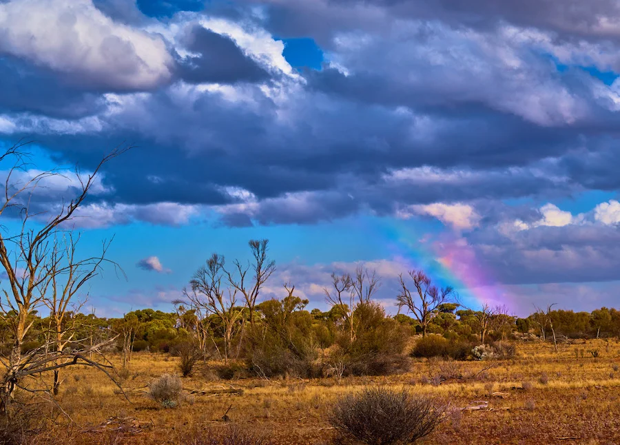 Rainbow near Tjuntjuntjara, Western Australia. Photo ©Claudia Jocher 2019