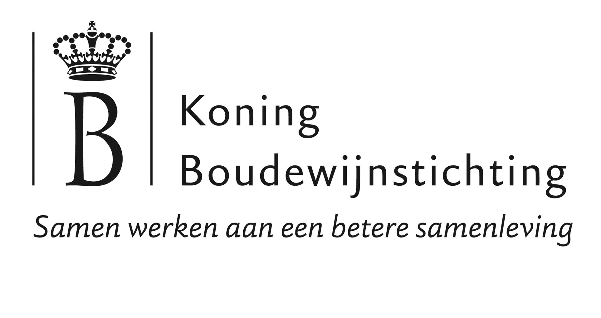 Koning Boudewijnstichting.jpg