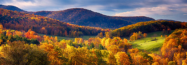 Fall Foliage