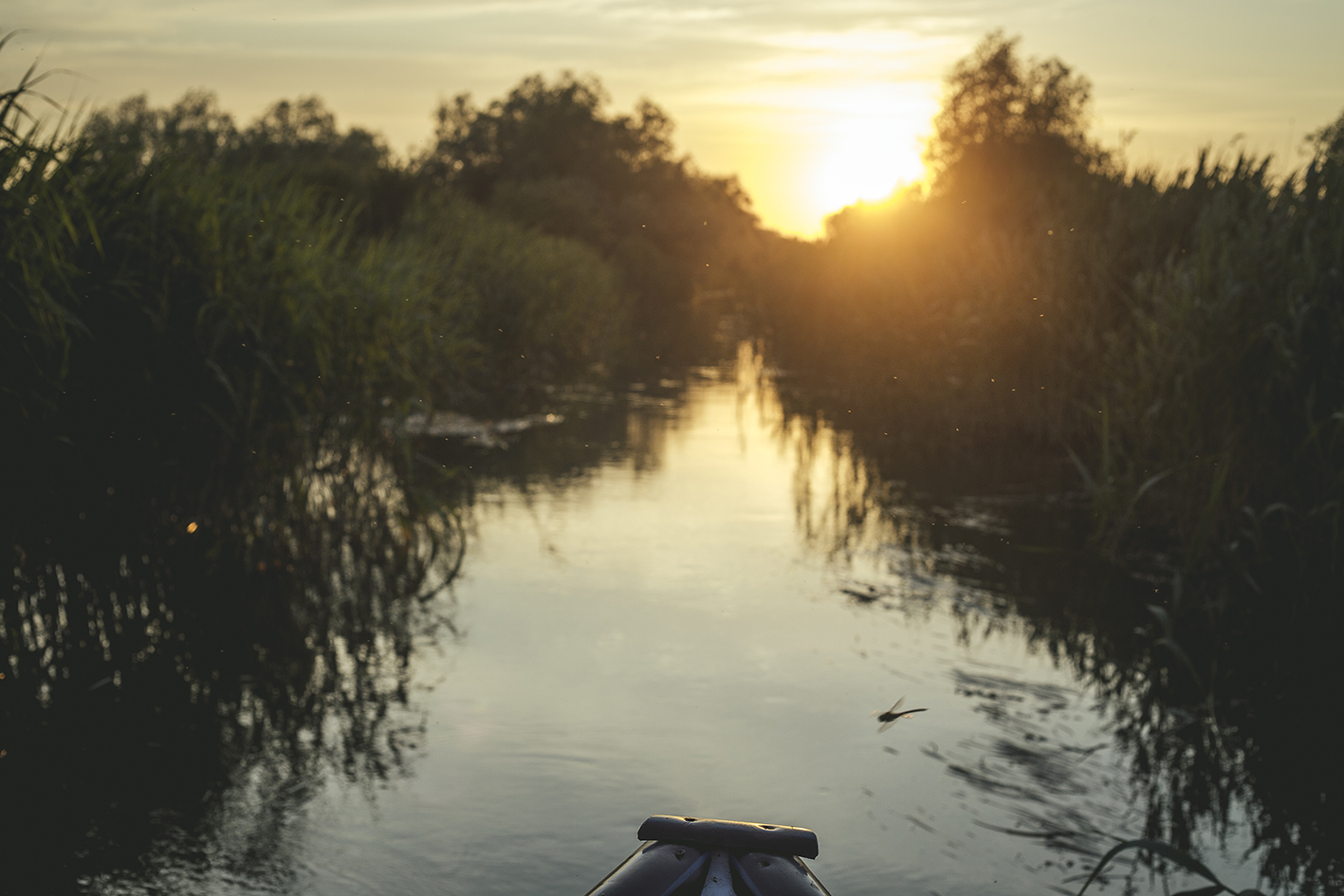 Channel, north of the Sulina branch, Sulina, Romania, 2015