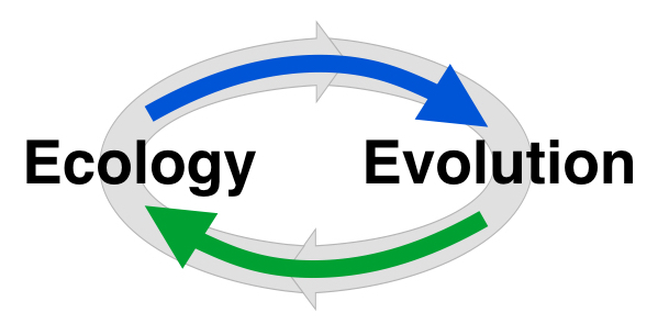 Evolutionary ecology