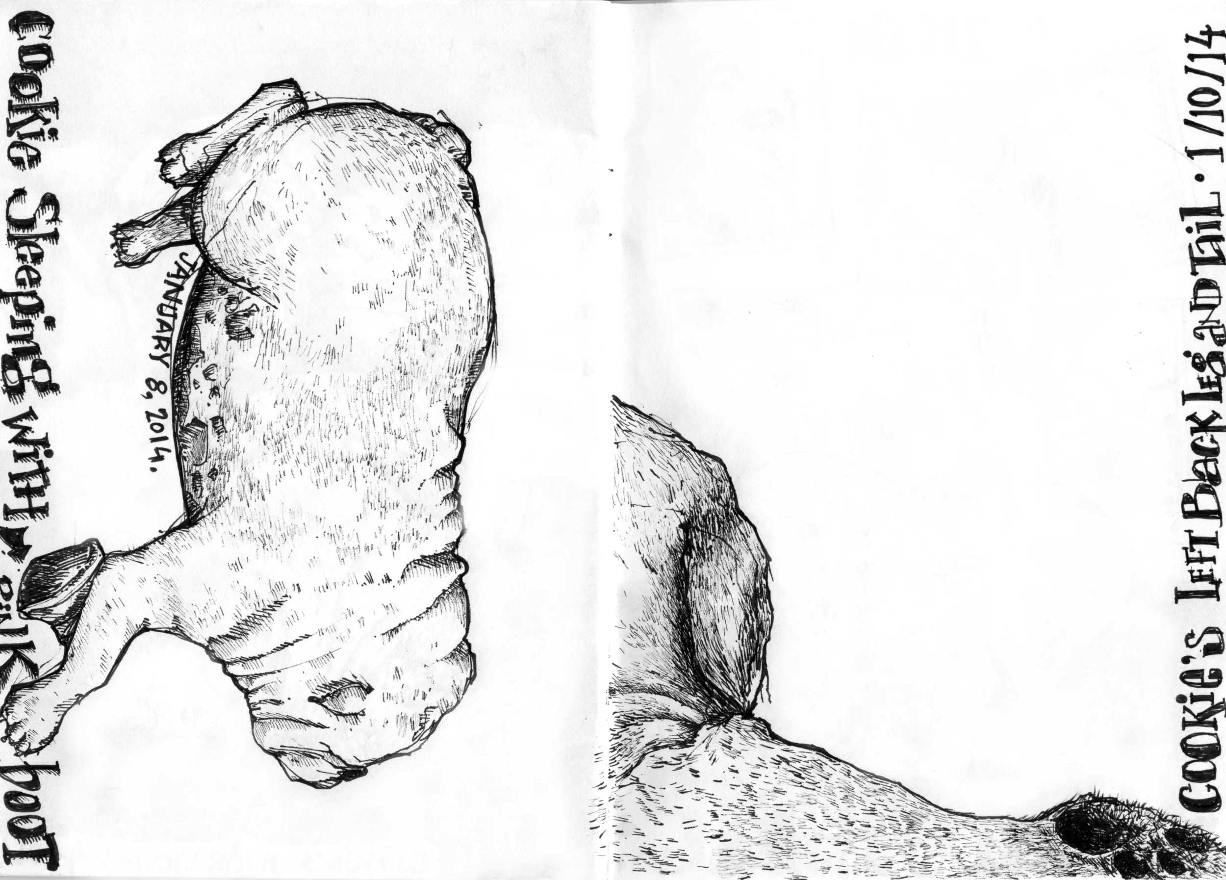 cb2_14.jpg