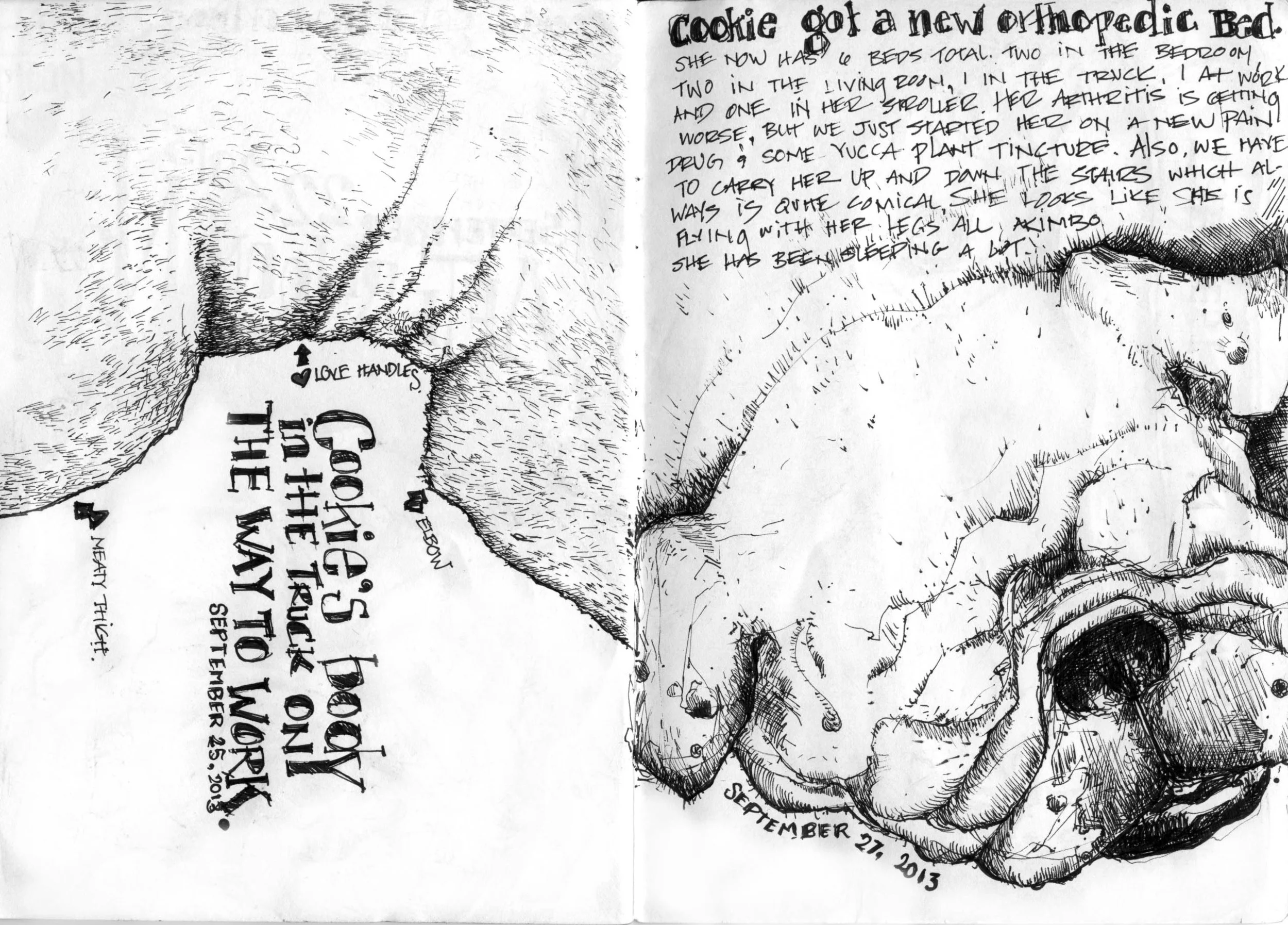 cb1_15.jpg