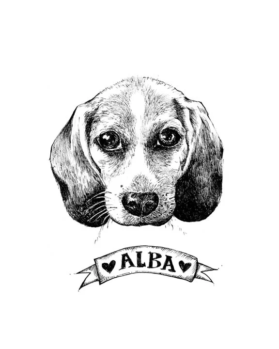 Alba