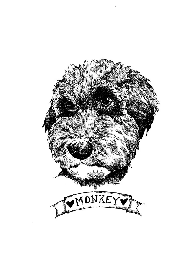 Monkey