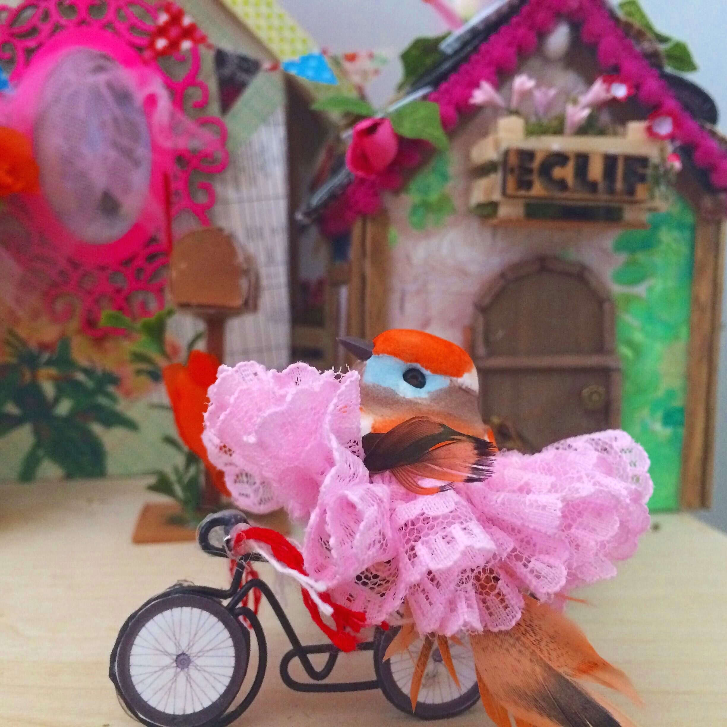 Birdhouse with Cycling Bird in Tutu, 2017