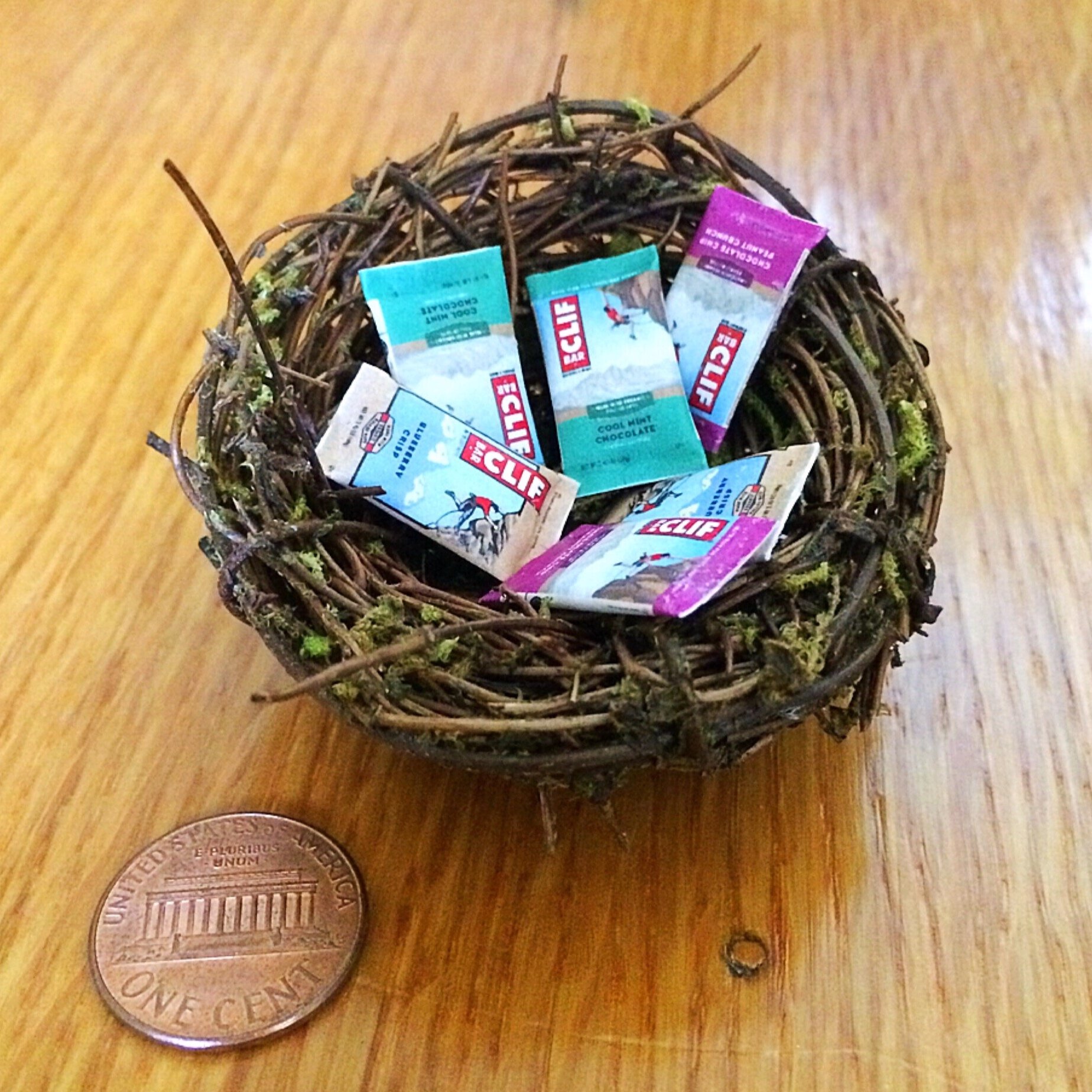 Miniature Bird's Nest with Clif Bars, 2017