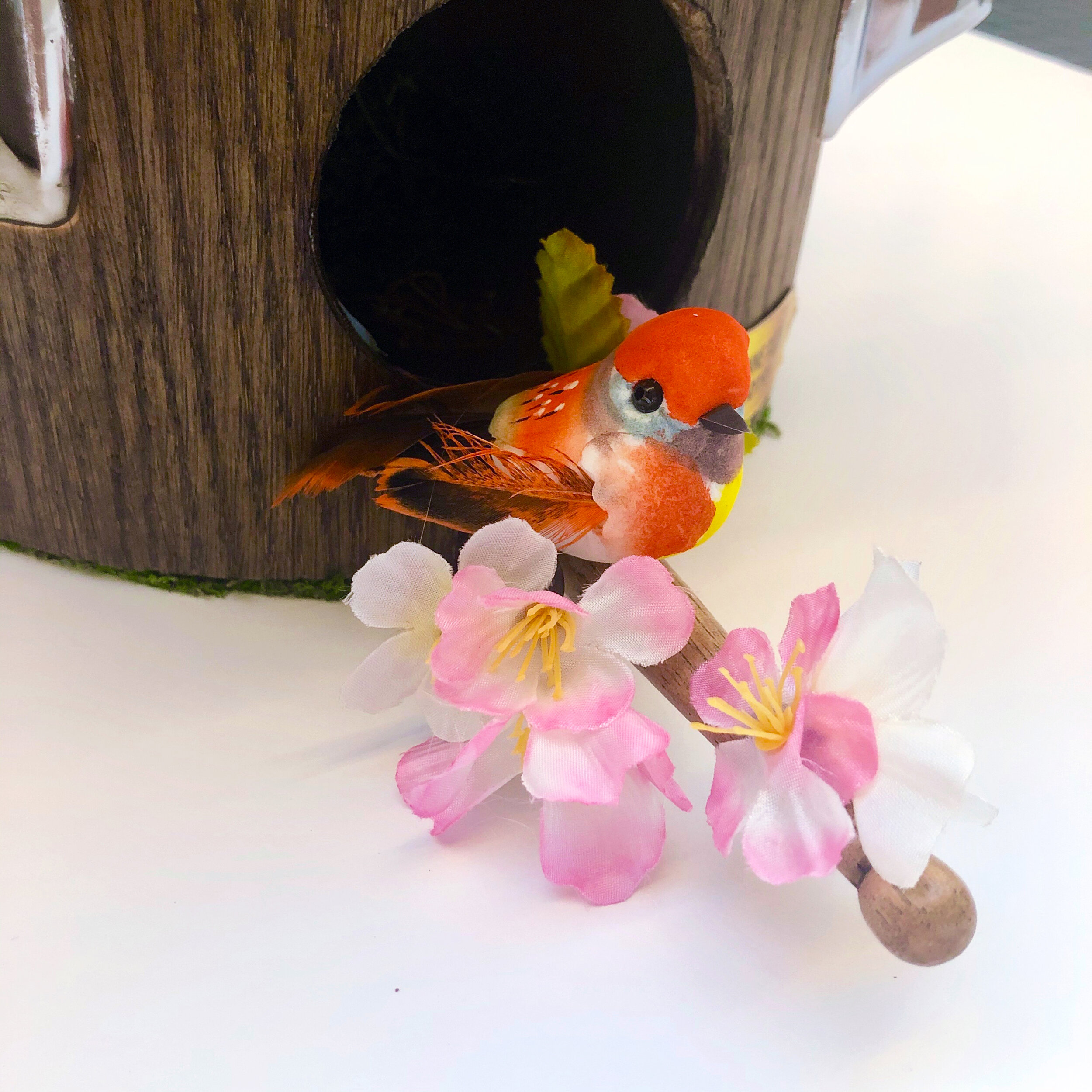 Drum Themed Birdhouse with Drumstick Perch and Cherry Blossoms, 2019